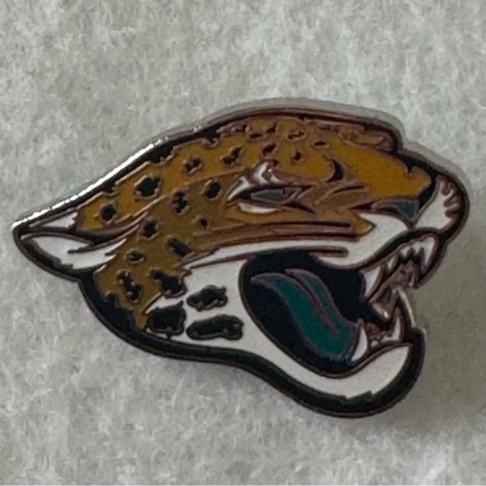 NFL Football Carolina Panthers Logo Hat Pin